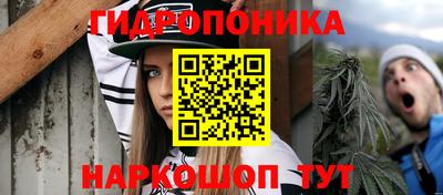 прущие крисы Пенза