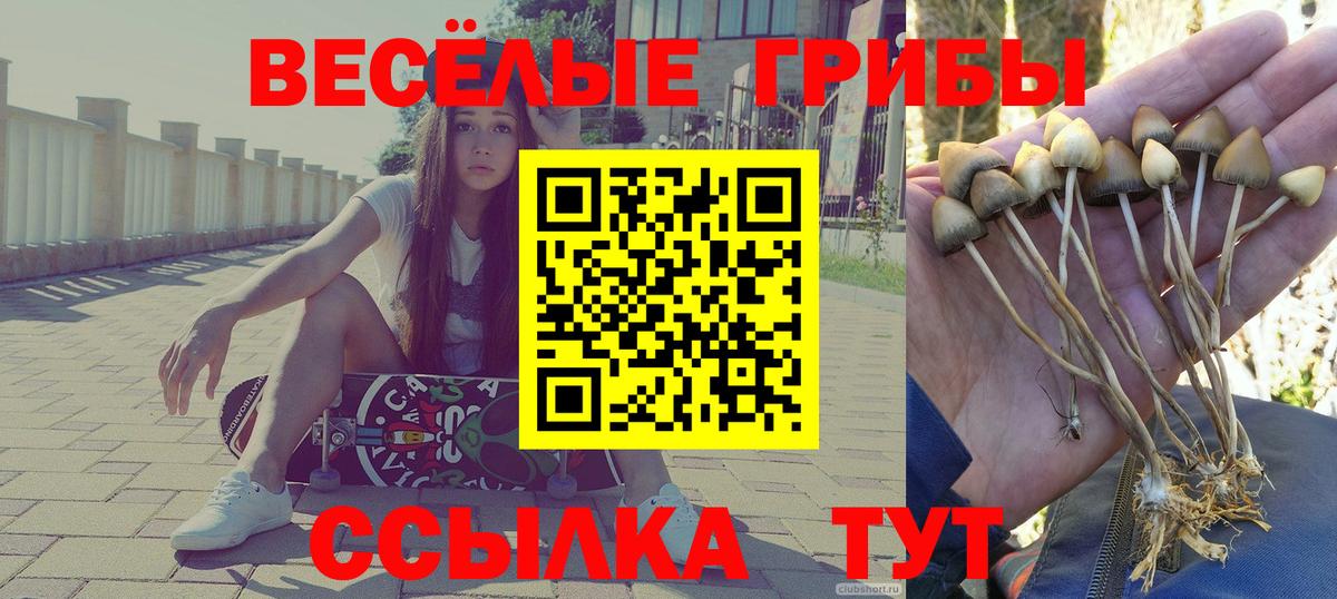 Псилоцибиновые грибы ЛСД Солнечногорск